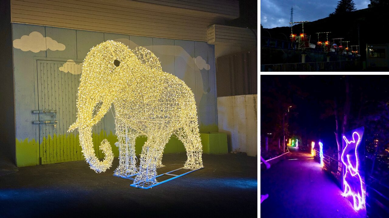 癒やしの夜の動物たち:池田動物園ナイトズーの楽しみ方 : ゆるっとぶらり旅!