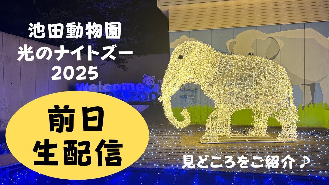 癒やしの夜の動物たち:池田動物園ナイトズーの楽しみ方 : ゆるっとぶらり旅!