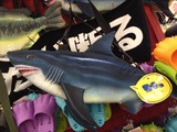 37e154e6.jpg
