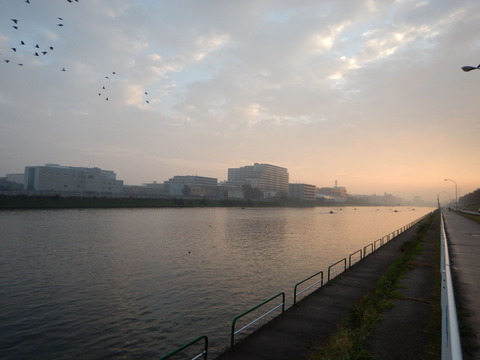 DSCN1821