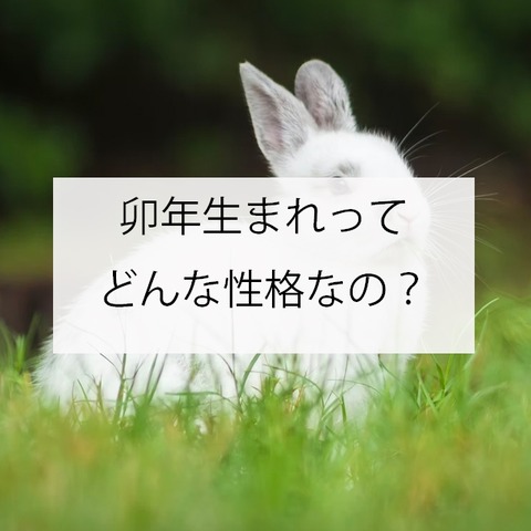 u-chan-sum-6