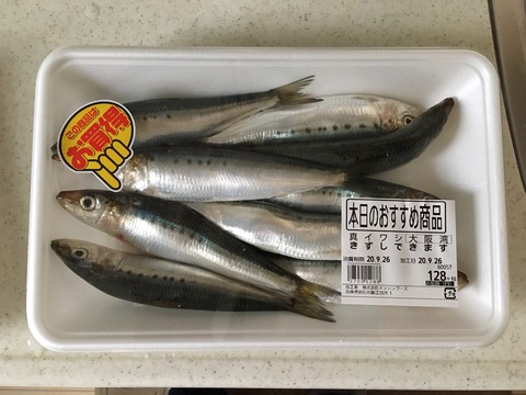 タチウオテンヤ用のエサを自分で作るぞ スーパーのイワシ編 ボーズが怖くて釣りができるかっ
