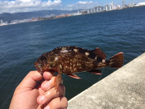 IMG_3796