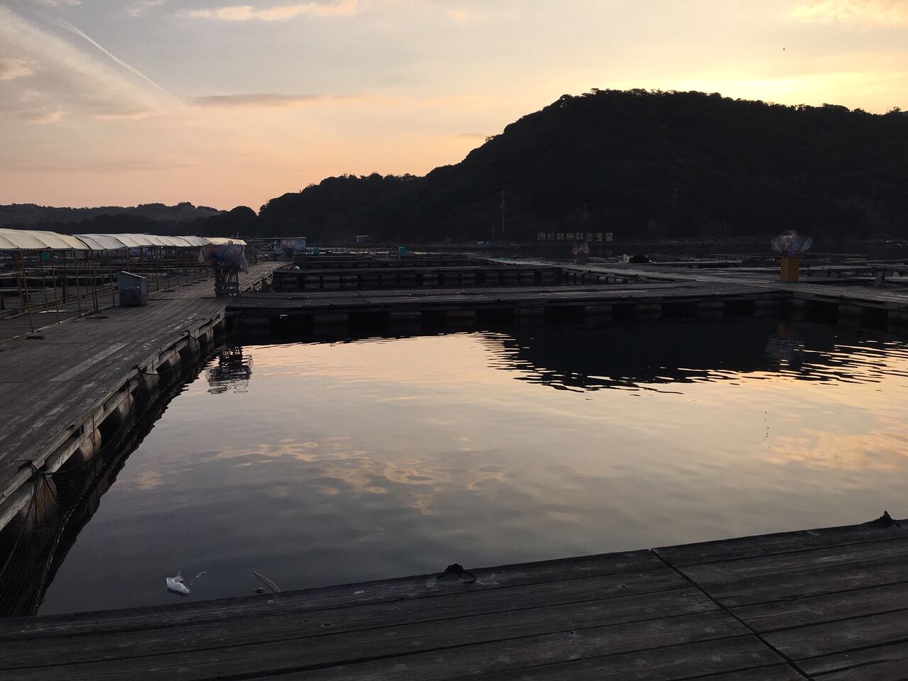 まだまだ青物いけるぞ 海上釣り堀 In 姫路 家島 釣り堀水宝 ボーズが怖くて釣りができるかっ