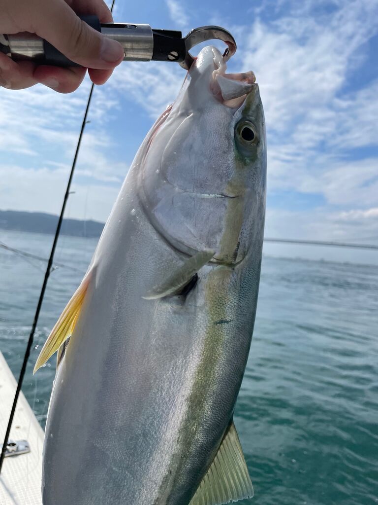 ジギング ボーズが怖くて釣りができるかっ ジギング ボーズが怖くて釣りができるかっ