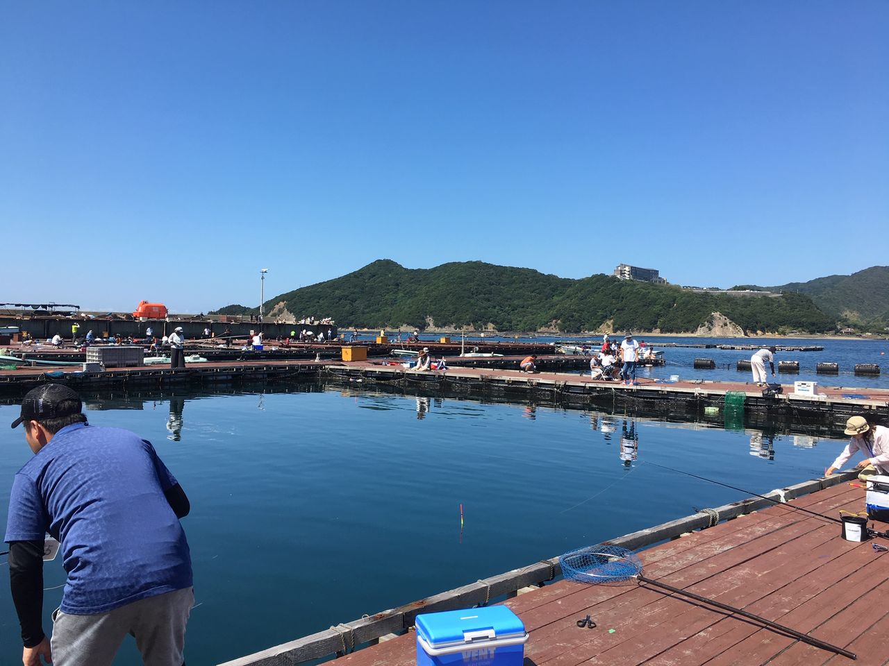 家族旅行中に本気の釣りは出来るのか In 淡路島 じゃのひれフィッシングパーク マダイ爆釣 編 ボーズが怖くて釣りができるかっ 家族旅行中に本気の釣りは出来るのか In 淡路島 じゃのひれフィッシングパーク マダイ爆釣 編 ボーズが怖くて釣りができるかっ