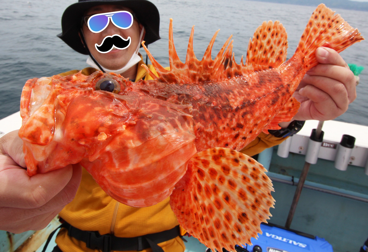 タチウオテンヤロッドでオニカサゴ狙い 日本海で根魚ざんまい In 丹後半島沖 ボーズが怖くて釣りができるかっ