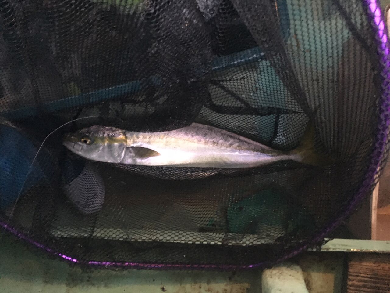明石海峡 ボーズが怖くて釣りができるかっ 明石海峡 ボーズが怖くて釣りができるかっ