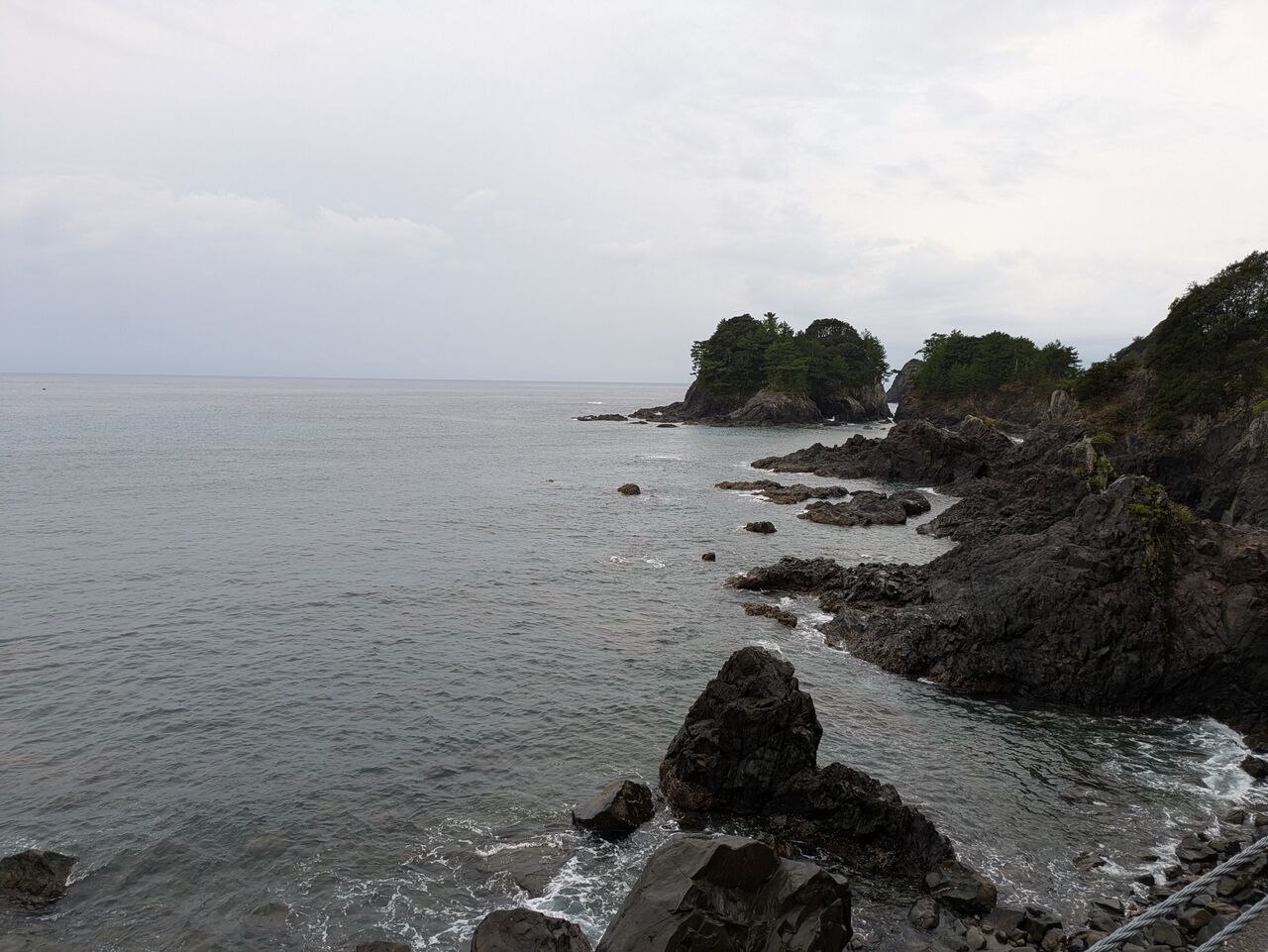 PXL_20241115_004853681.MP