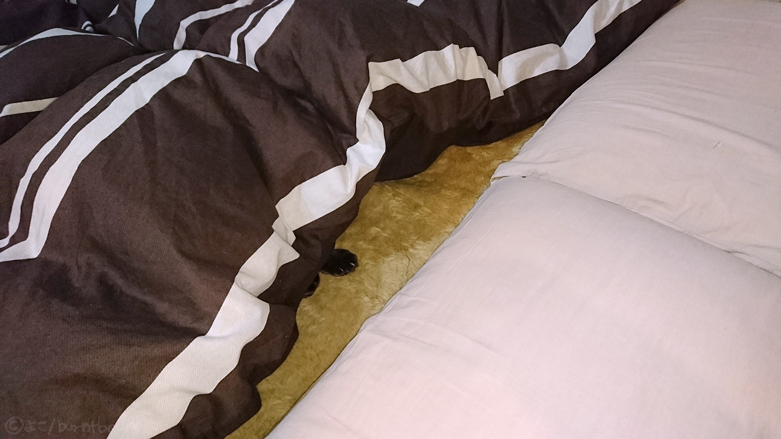 布団の作法 豆 焦げちゃいました