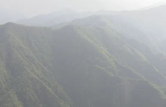 20260519-07304703-jnn-000-2-view