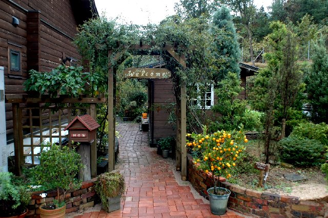 カマシア、オダマキ、五月の庭 : 山里の暮らし