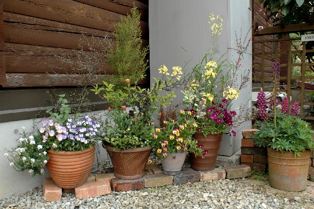 五月の花壇と寄せ植え 山里の暮らし