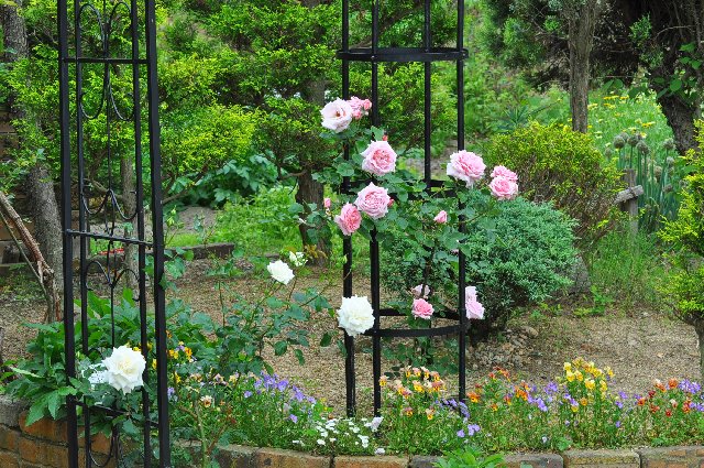 庭改造を少しだけ 山里の暮らし