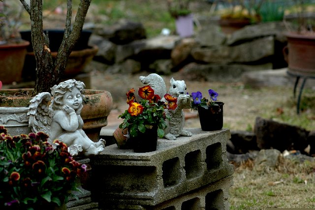 散る花 咲く花 季節の移ろい 山里の暮らし