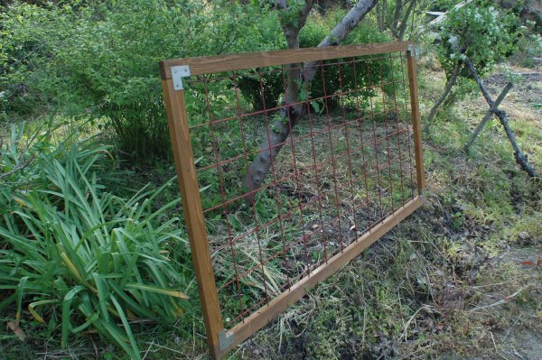 ブラックベリーのネットトレリス作り 山里の暮らし ブラックベリーのネットトレリス作り 山里の暮らし