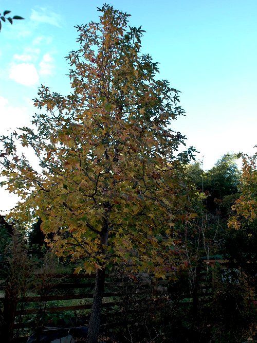 成長過程を追う 山里の暮らし