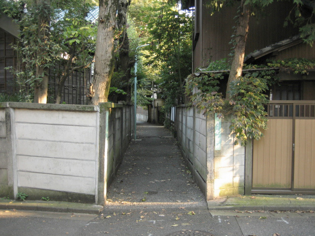 東京 自転車 散策