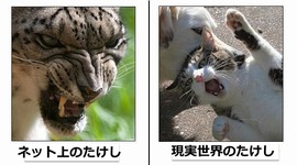 ������ǭ