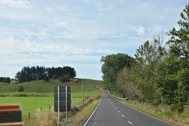 DSC_8395