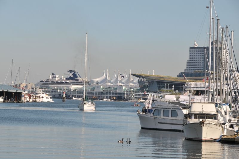 DSC_1012