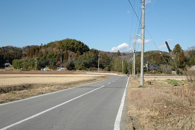 林の向こう