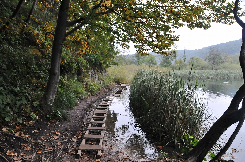 DSC_7447