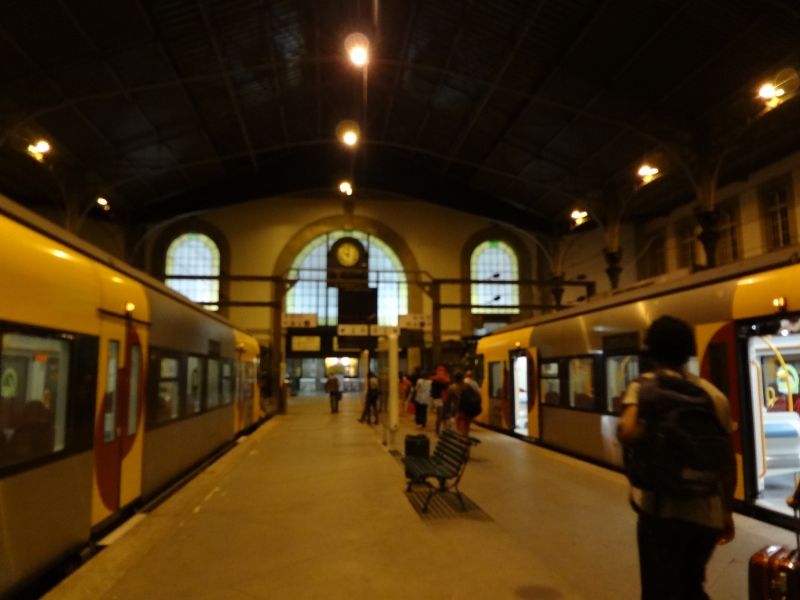 DSC01815