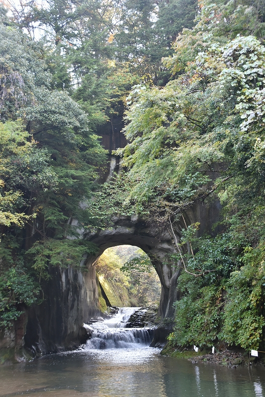 DSC_9412
