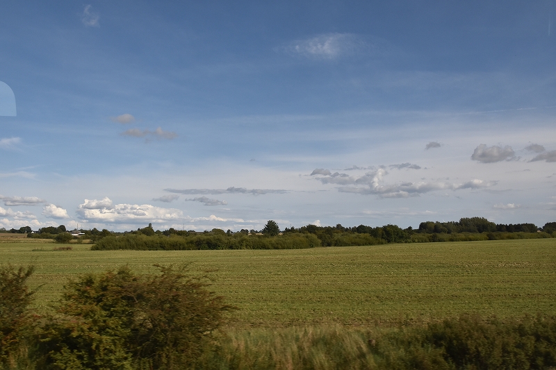 DSC_9324