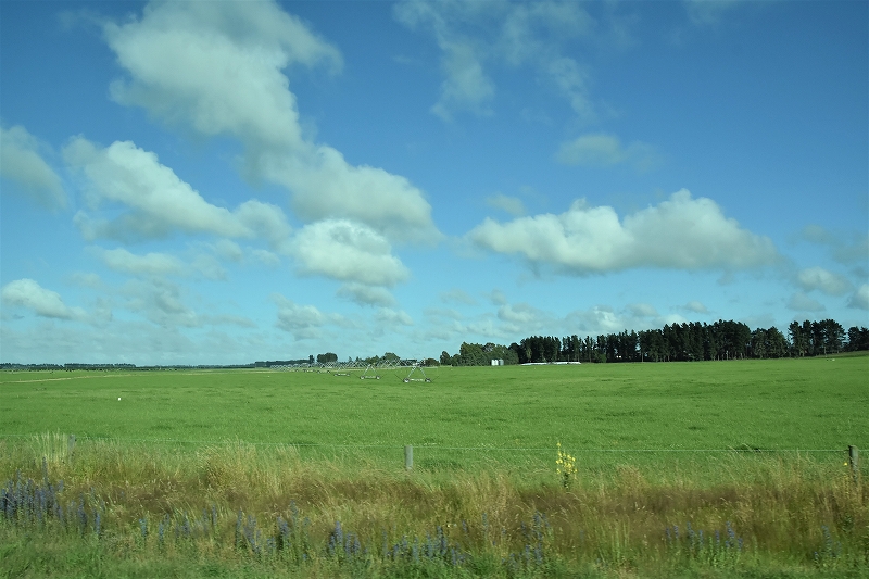 DSC_3467
