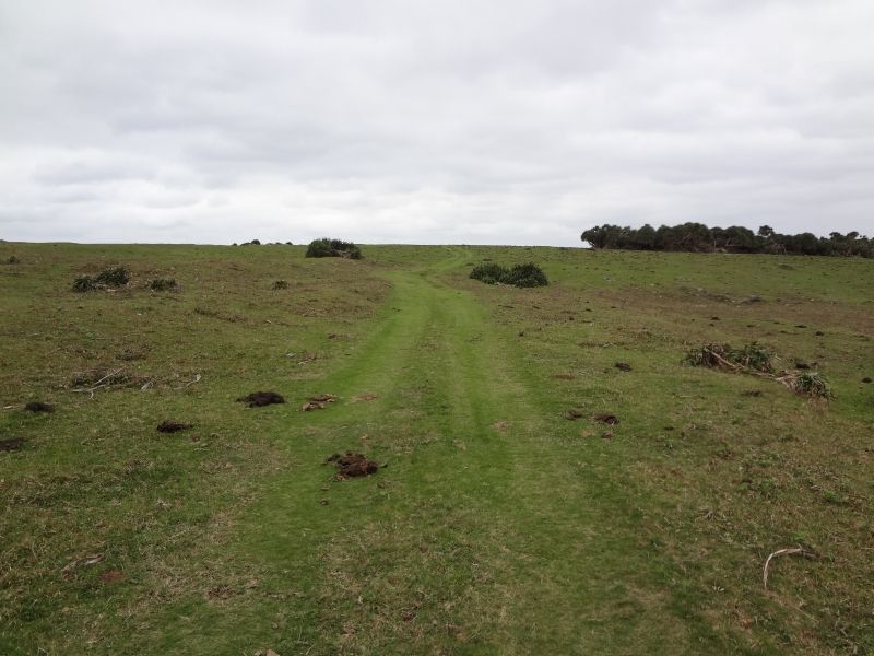 DSC06007