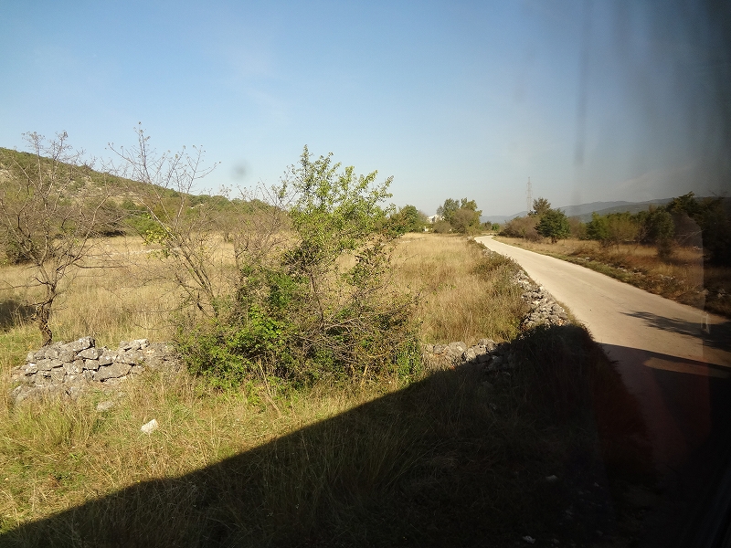 DSC07396