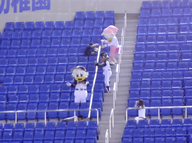 ή���������4