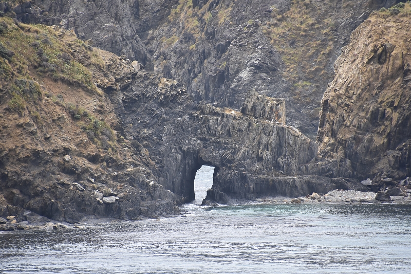 DSC_0401