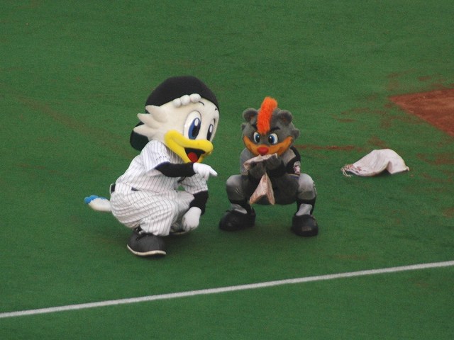 何やってるの・