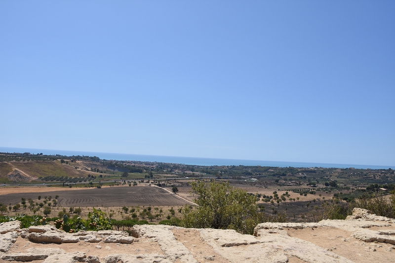 DSC_1377