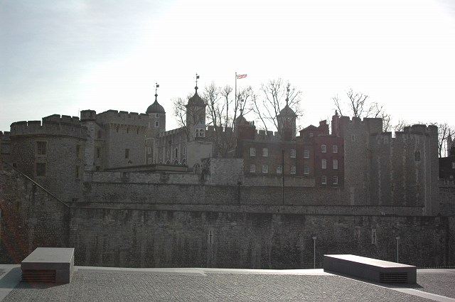 ����ɥ���