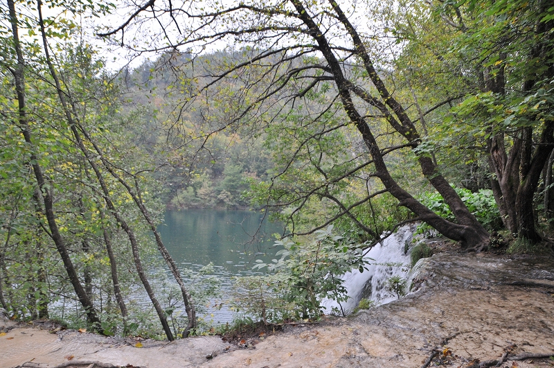 DSC_7402