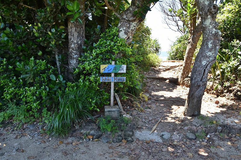 DSC_6725