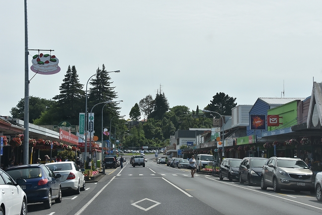 DSC_8448