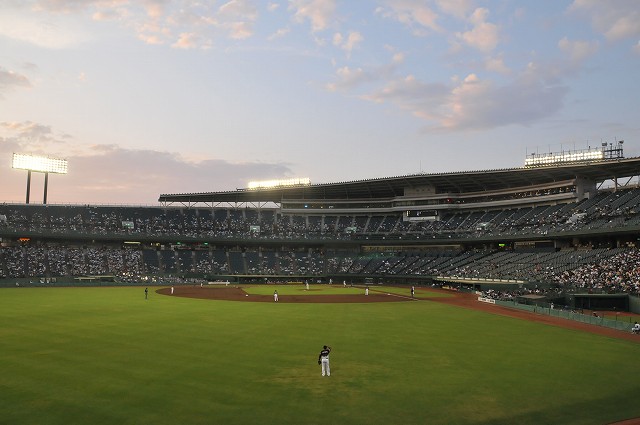 DSC_2250