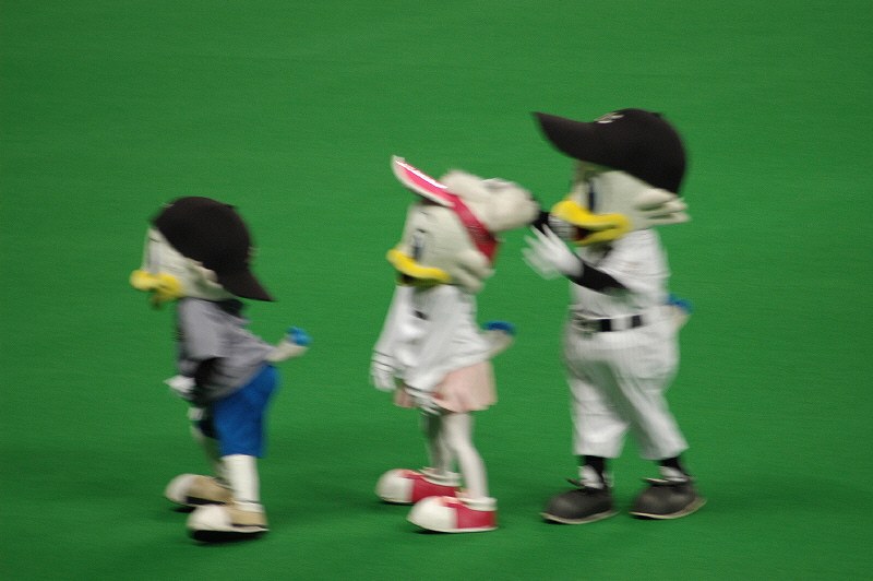 zoo3