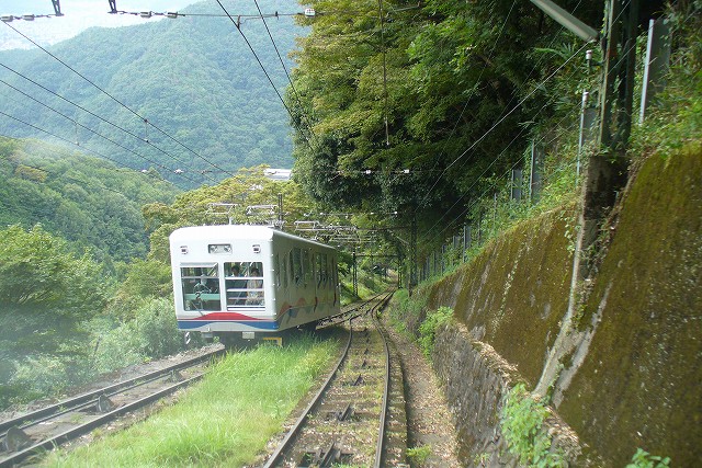 P1050067