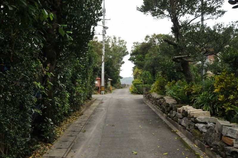 DSC_2673
