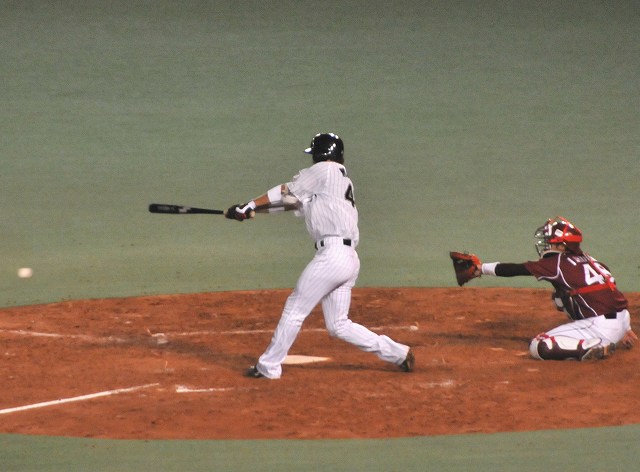 ���ͥ�����꡼