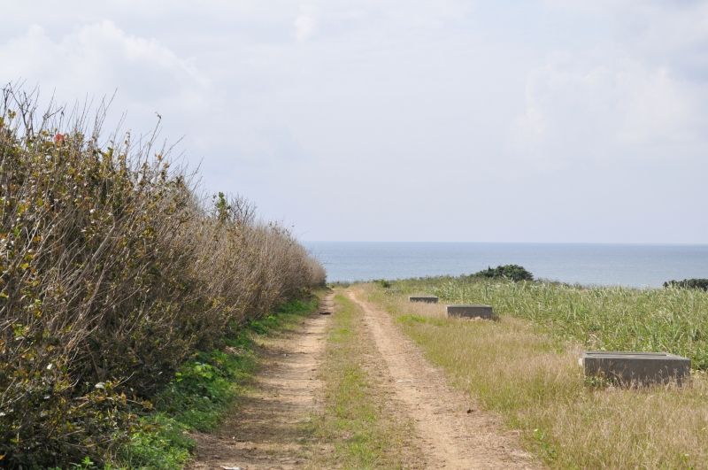 DSC_1084