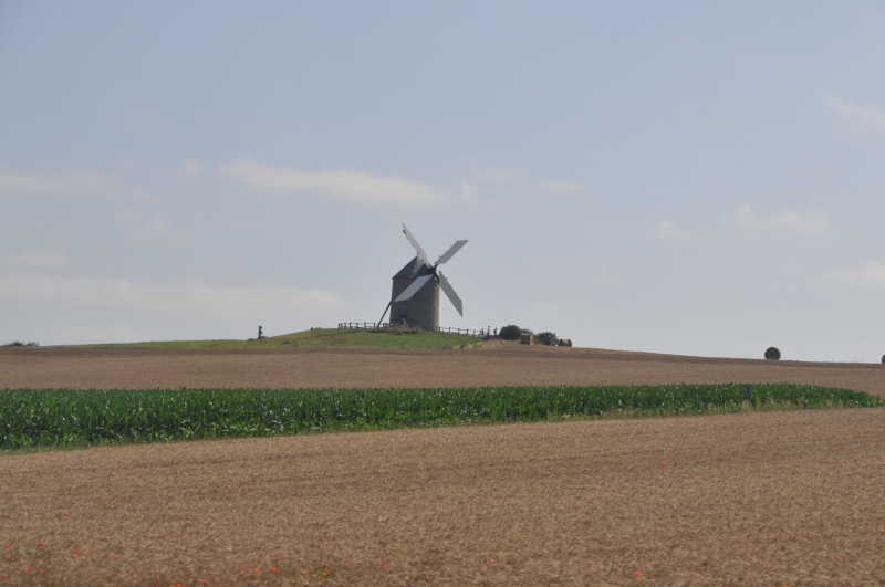DSC_6694