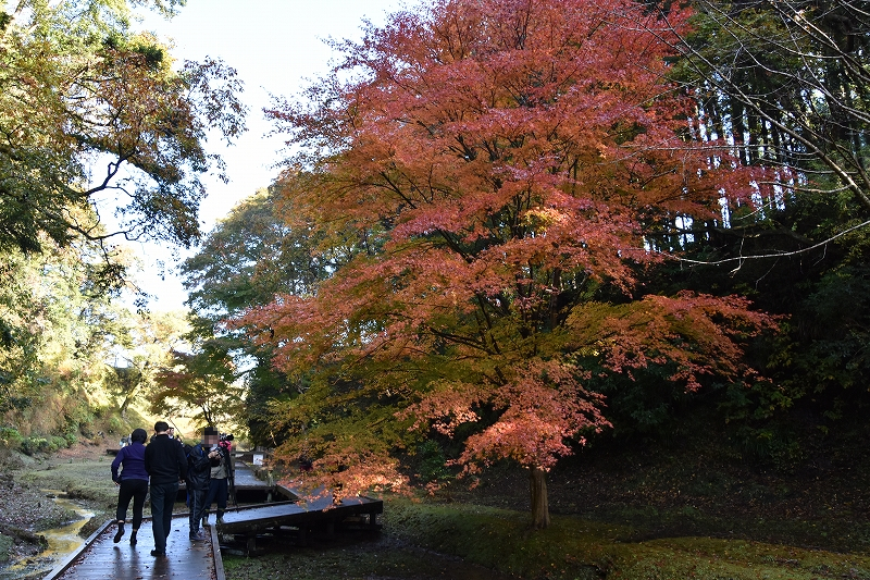 DSC_9439