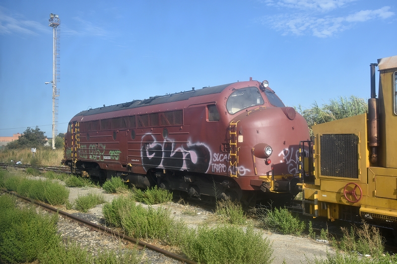 DSC_2649